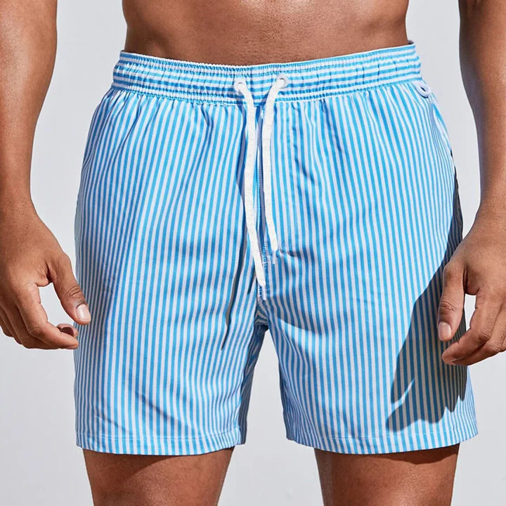 Men's Casual Quick-Dry Striped Swim Shorts