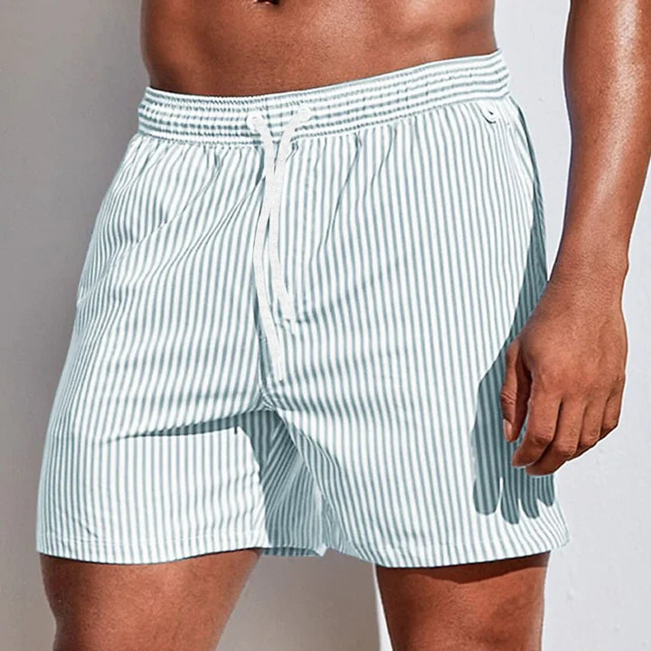 Men's Casual Quick-Dry Striped Swim Shorts